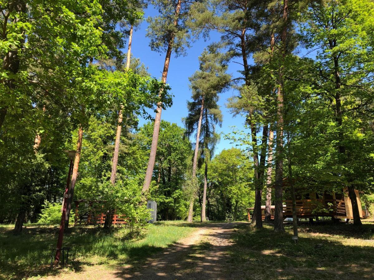Camping Osenbach Bagian luar foto